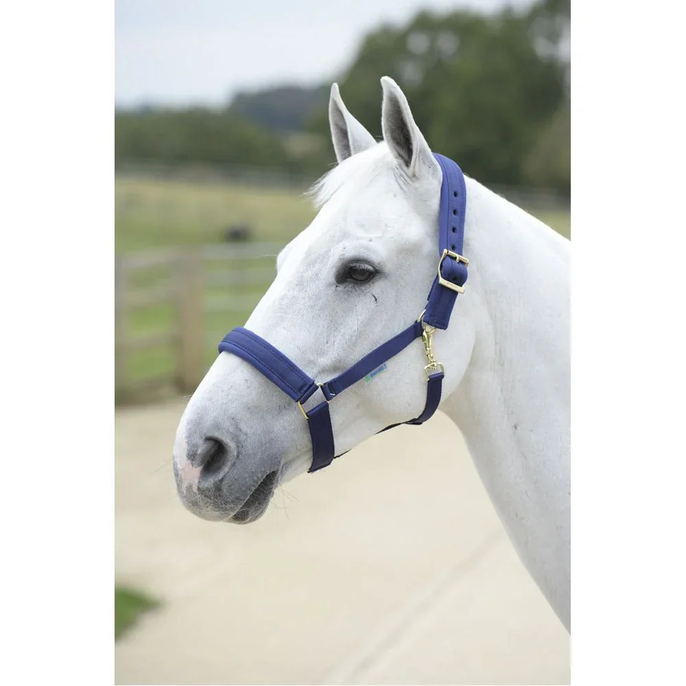 Bucas Comfort Halter Cob Navy/Navy