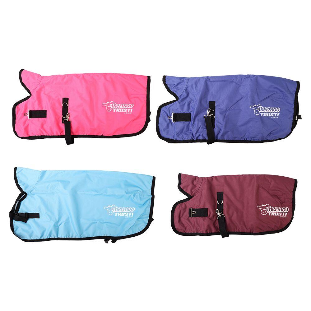 Antahi Thermoo Medium Blue