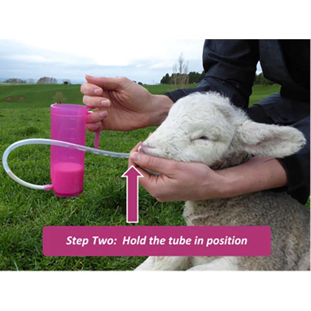 Antahi Trusti Tuber Lambs Kids Fawn