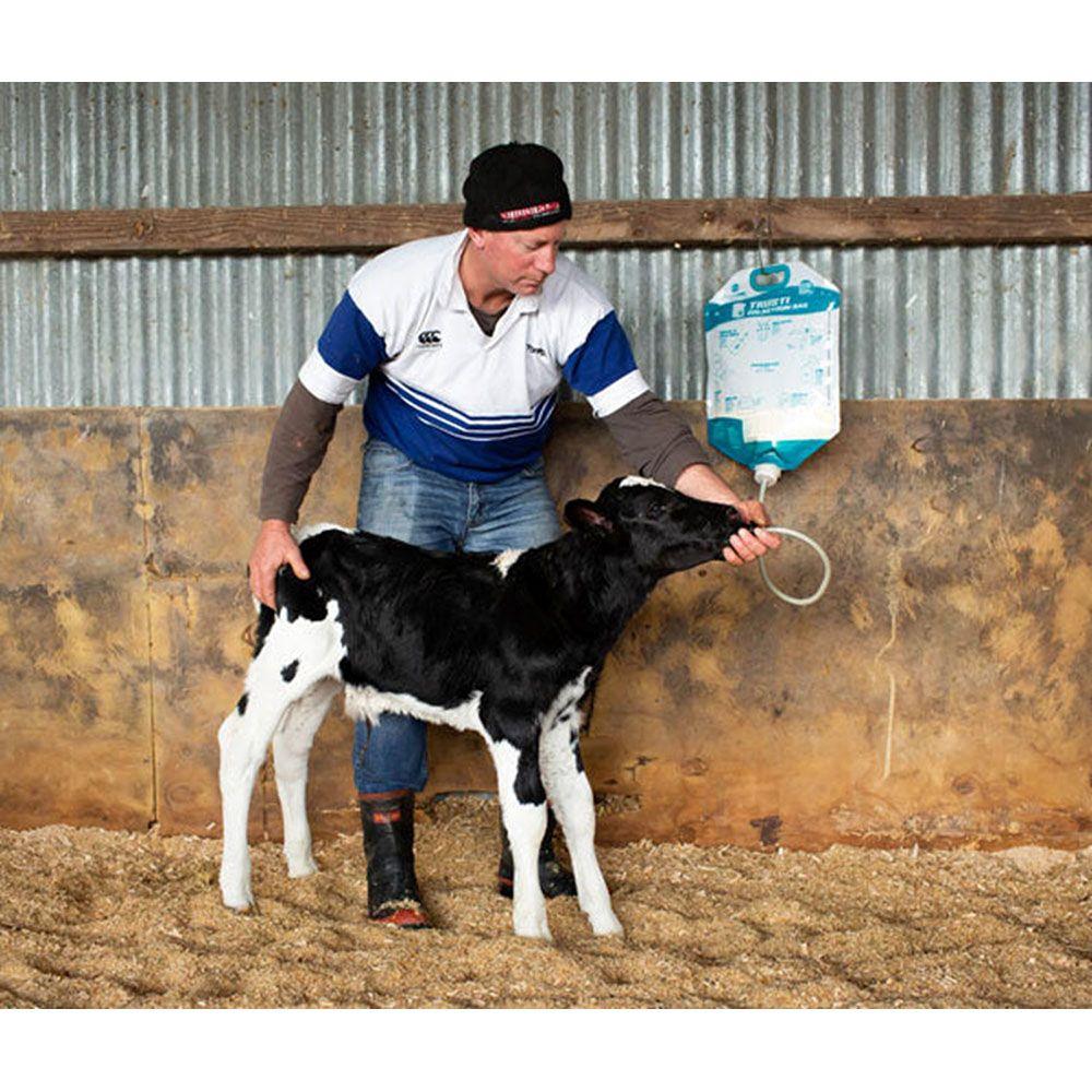 Antahi 4L Trusti Colost Bag x5+Teat+Tube