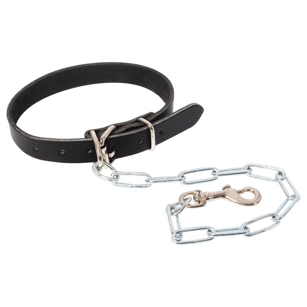 Dog Collar Leather w Chain small