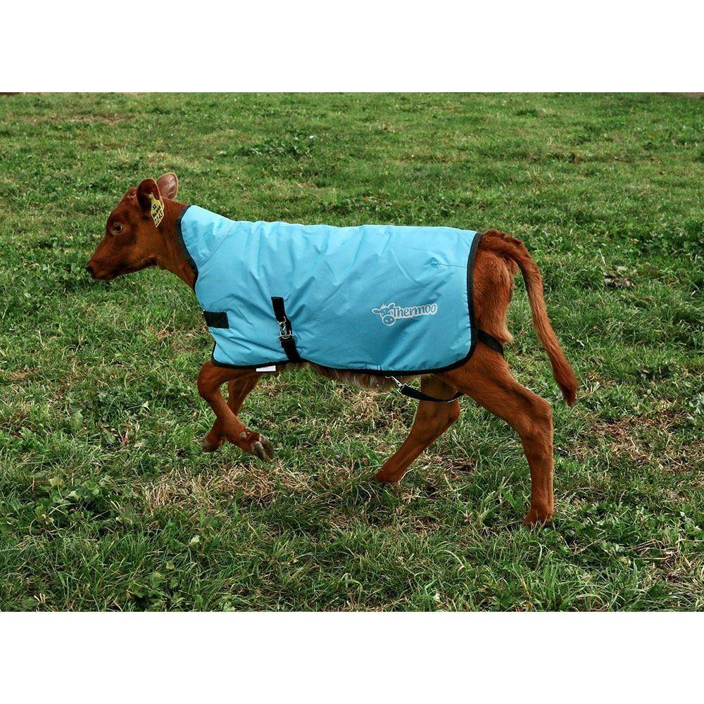 Antahi Thermoo Large Light Blue