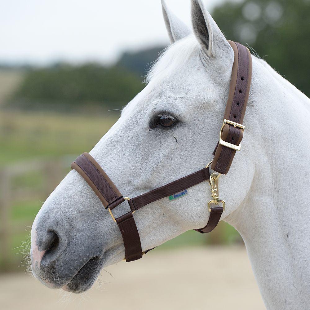Bucas Comfort Halter Pony Brown/Brown