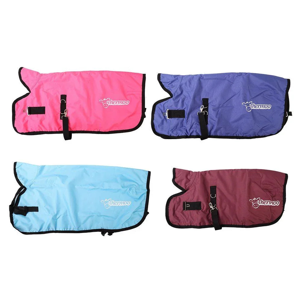 Antahi Thermoo Medium Pink