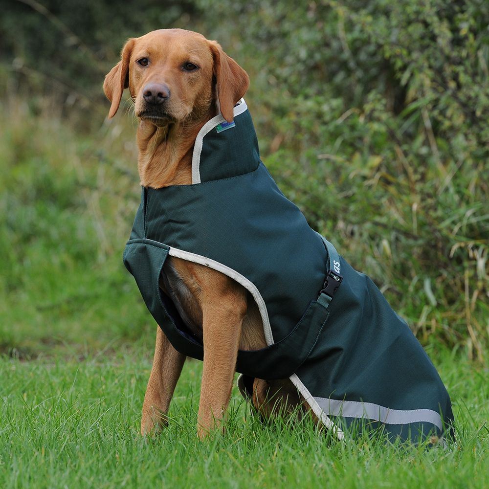 Bucas Dog Coat Greenline 50g 75cm