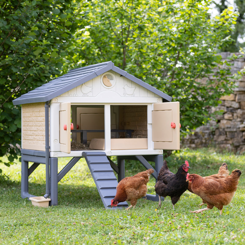 My First Chicken Coop