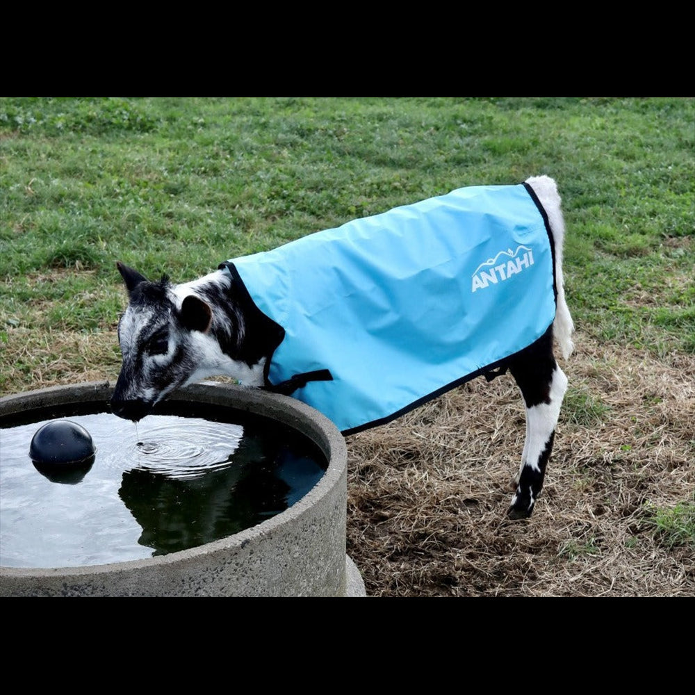 Antahi Calf Cover Large Lightweight