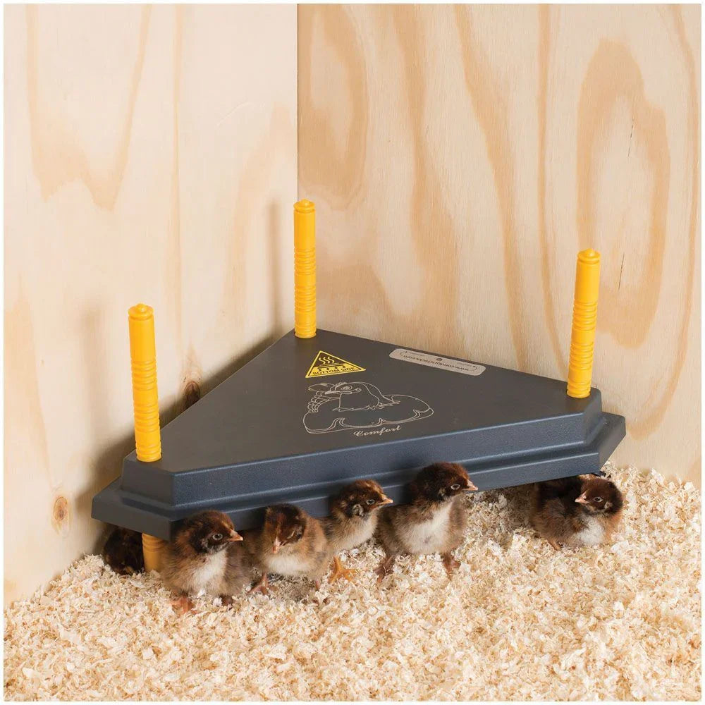 Chick Warmer Triangle 40cm(nil reg)
