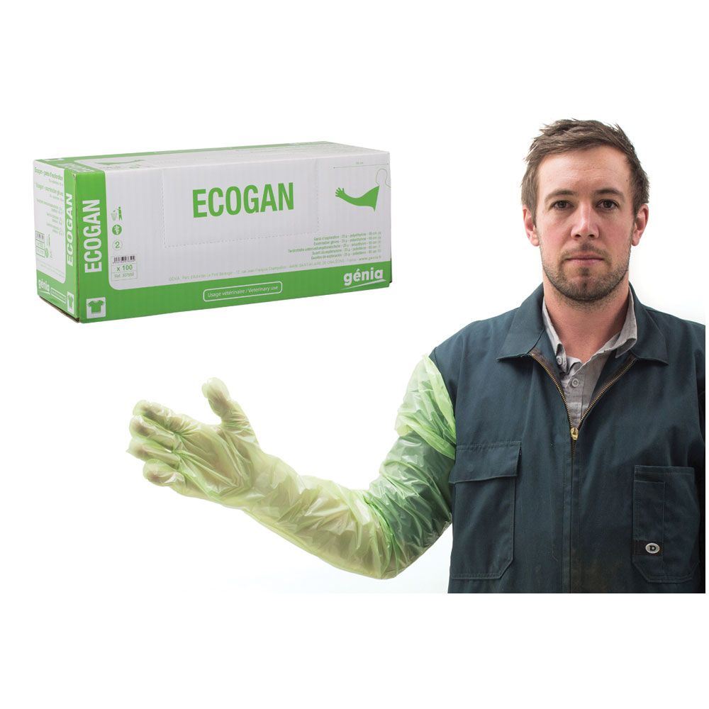 Gloves Exam Genia Ecogan (Green) 100pkS