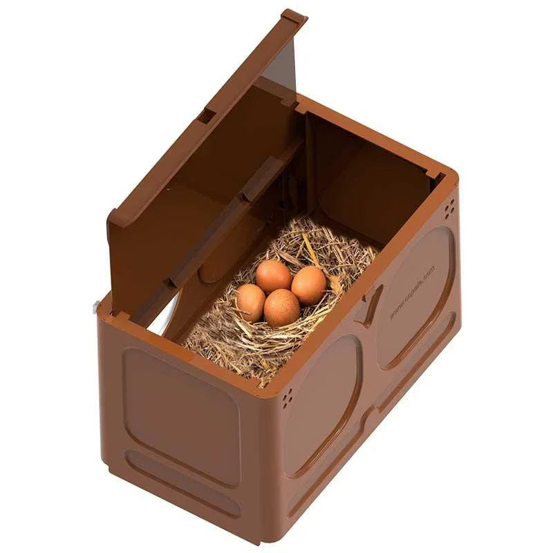 Avi Nest