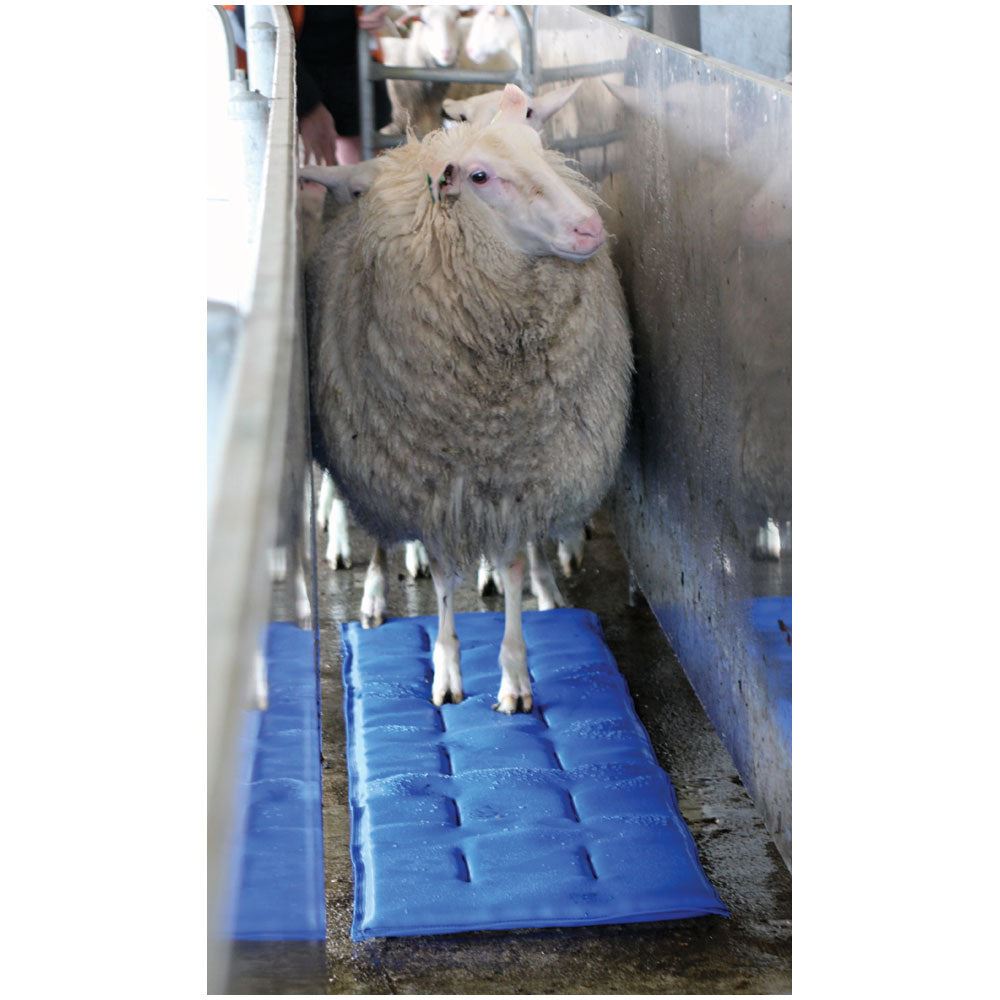 Hoofmat Sheepmat Premium blue