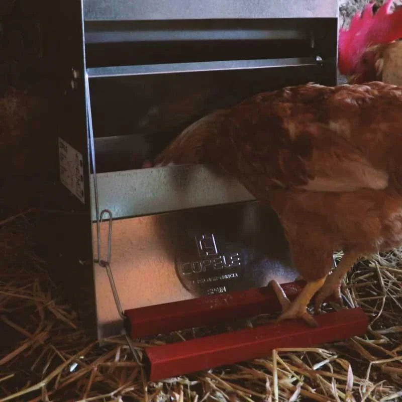 Safeed Automatic Poultry Feeder - 12KG