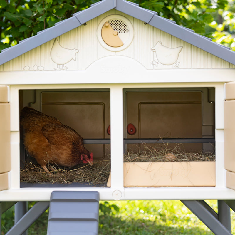 My First Chicken Coop