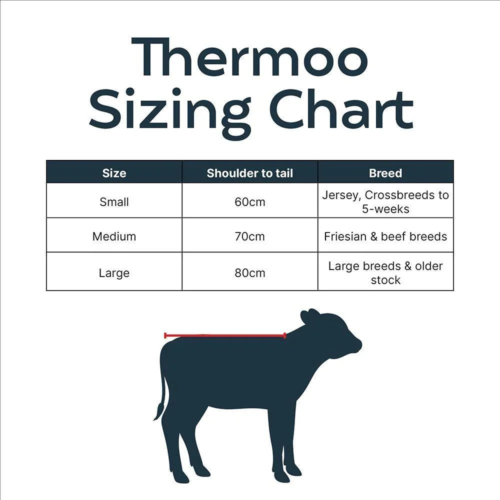 Antahi Thermoo Small Burgundy