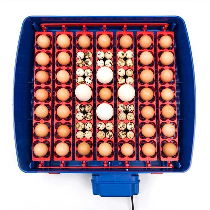 Real 49 Plus Incubator