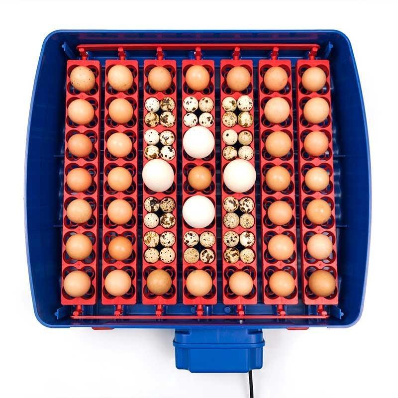 Real 49 Plus Incubator