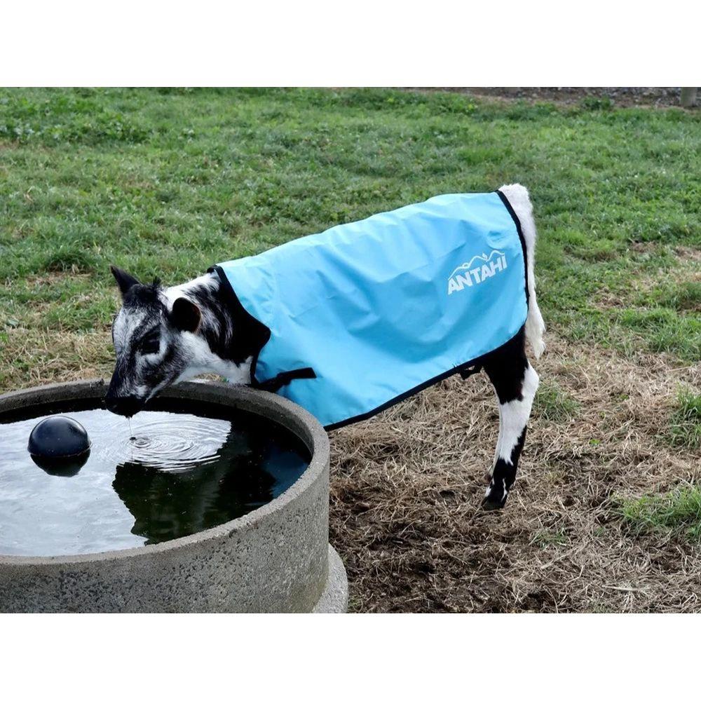 Antahi Thermoo Large Light Blue