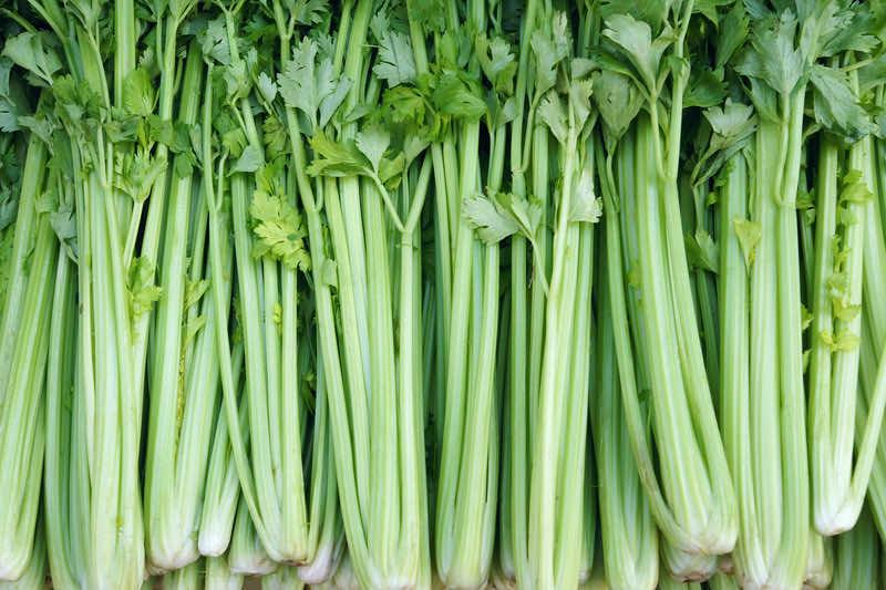 Celery Tendercrisp