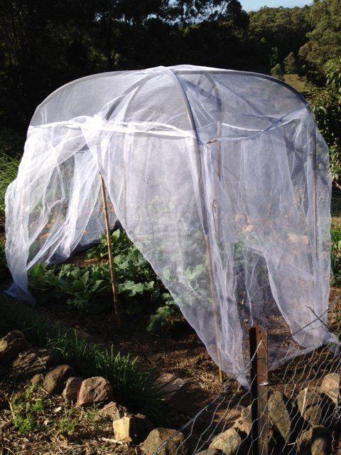 Fruit Saver Garden Net for Fruit Trees and Vegetables