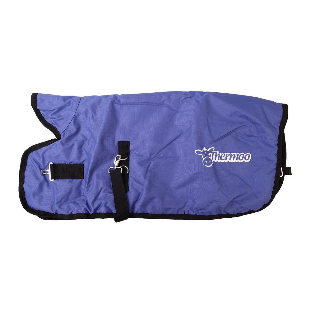 Antahi Thermoo Medium Blue