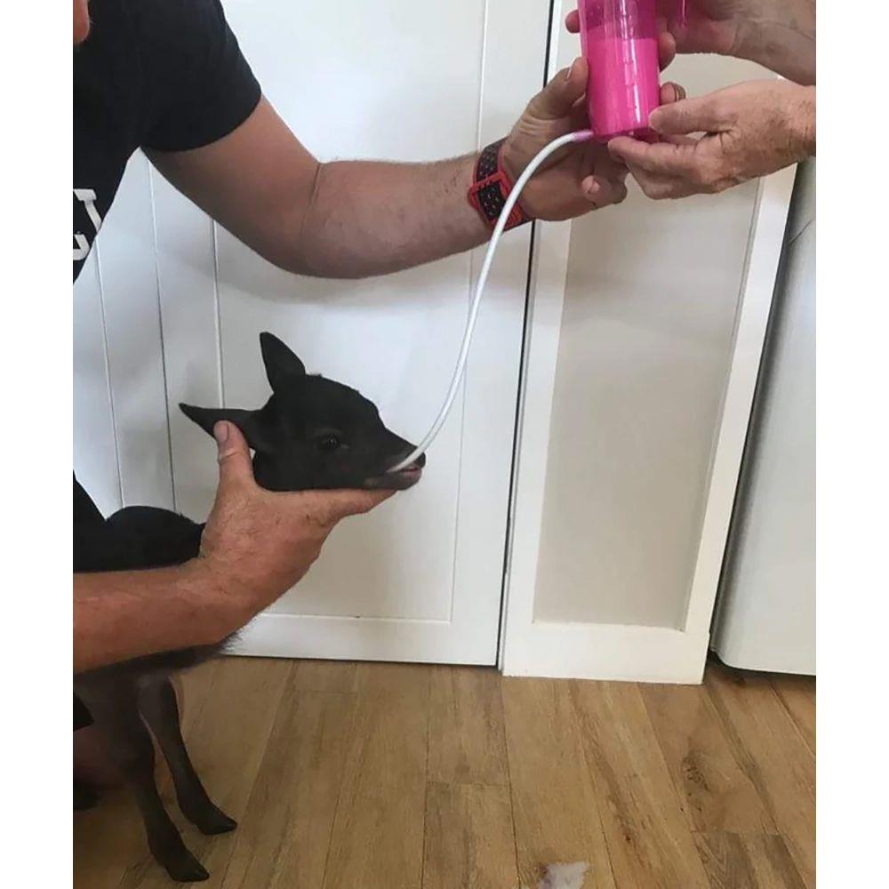 Antahi Trusti Tuber Lambs Kids Fawn