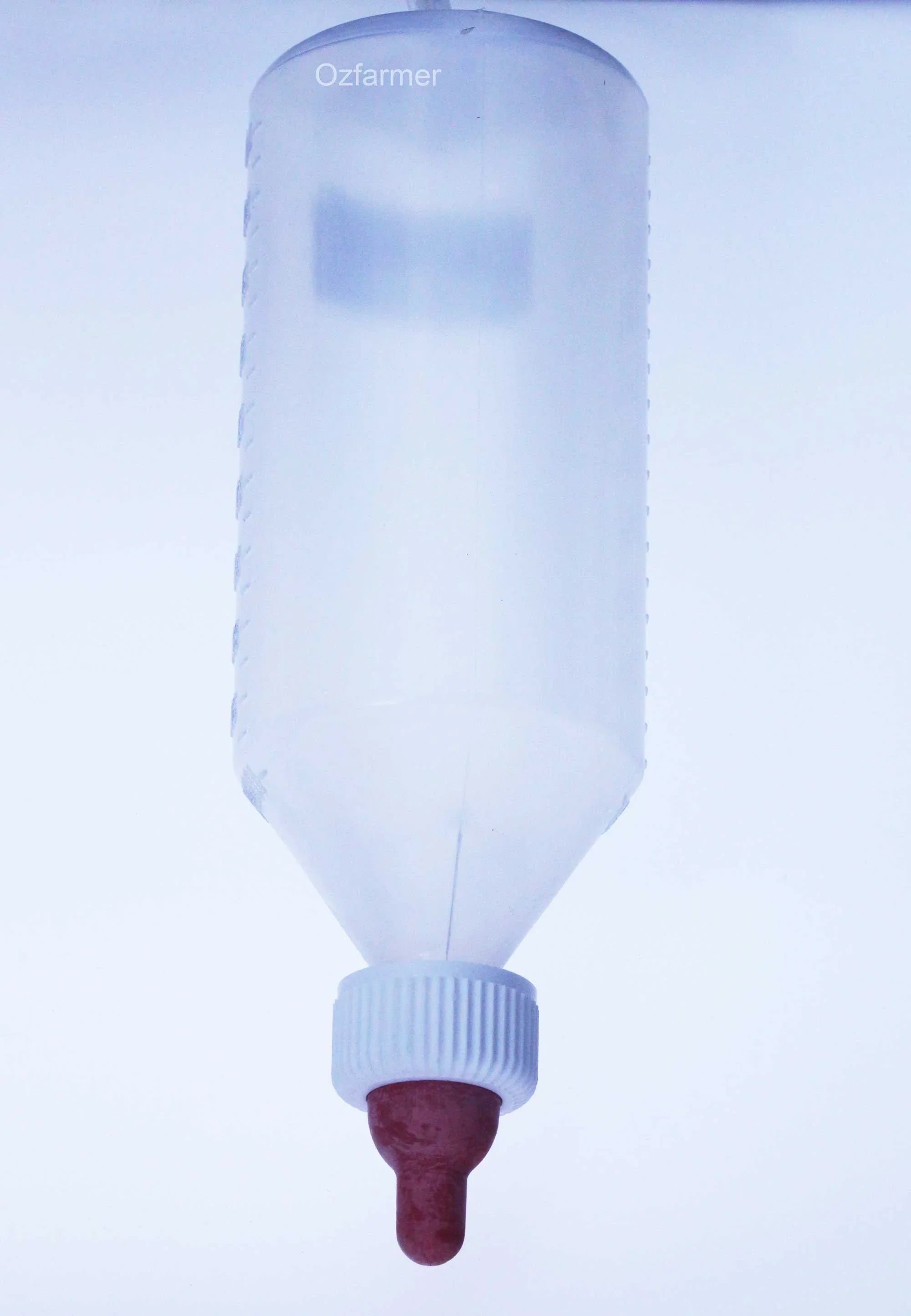Hanging Lamb Feeder Bottle