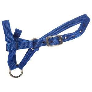 Alpaca Webbing Halter - High Quality Suit Medium Size Alpaca