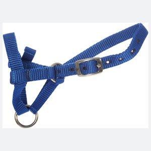 Alpaca Webbing Halter - High Quality Suit Small Alpacas