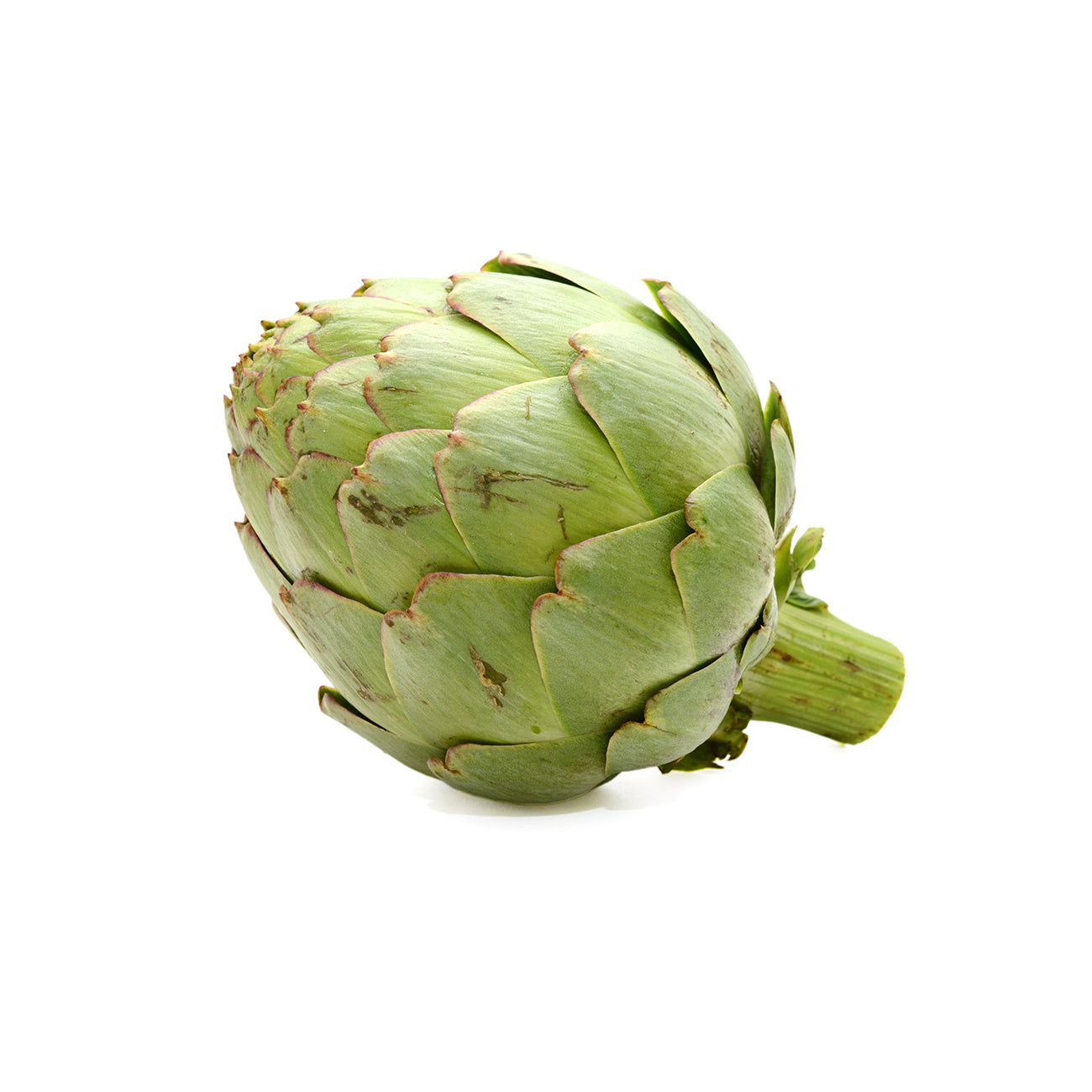 Artichoke Globe