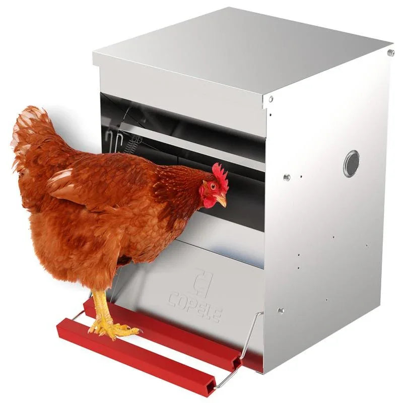 Safeed Automatic Poultry Feeder - 12KG
