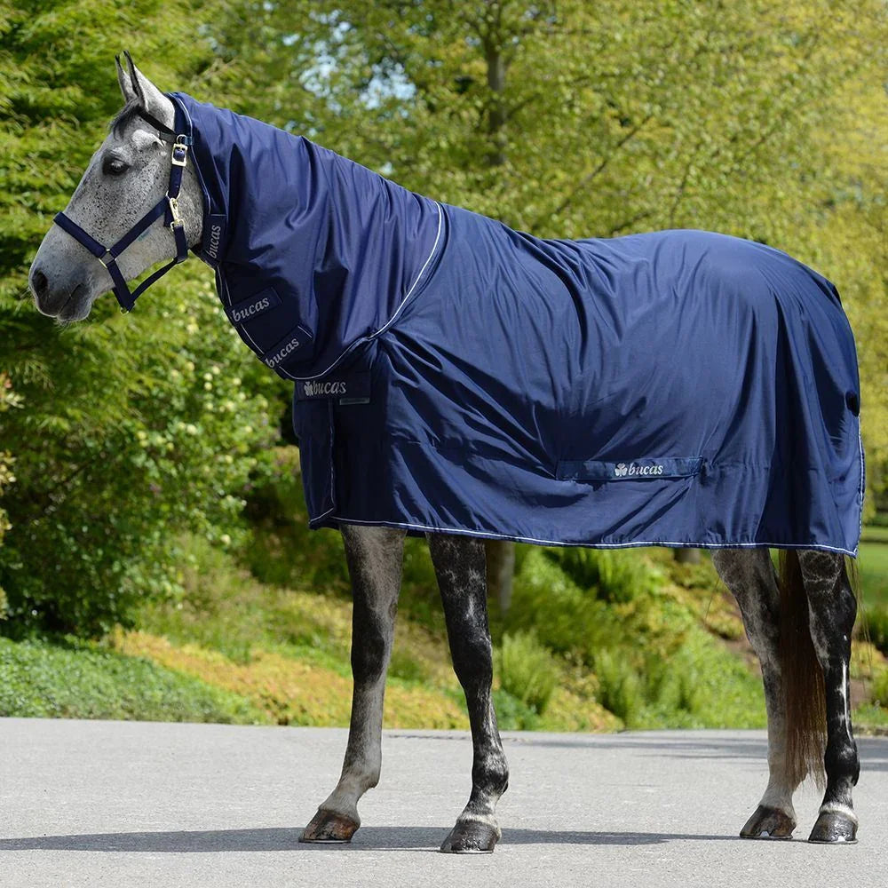 Bucas Cooler Shamrock FN Navy 165cm/7'0