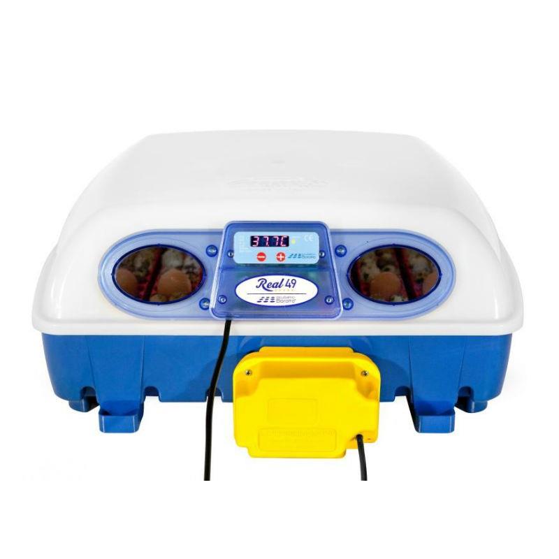 Real 49 Automatic Incubator