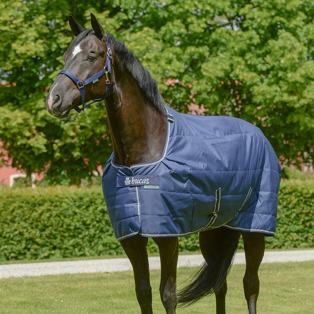 Bucas Rug Quilt 300g S/D 140cm/6'3