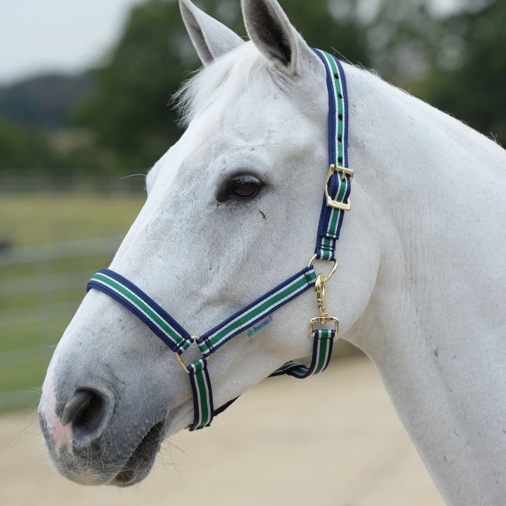 Bucas Dublin Halter Pony Navy/Green