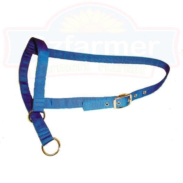 Cow Leading Halter Nylon