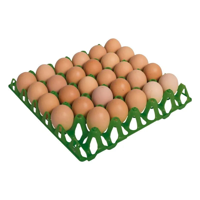 Plastic Egg Tray