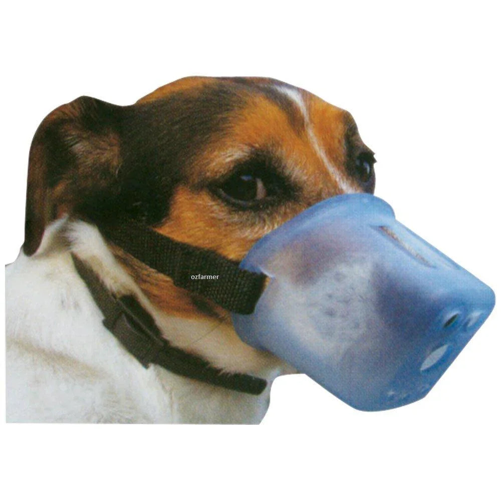 Dog Muzzle Safety