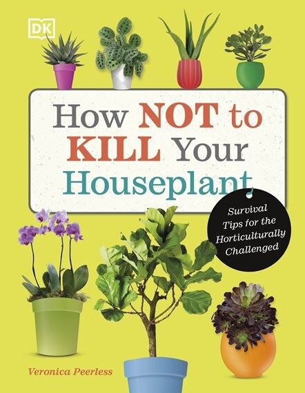 How Not to Kill Your Houseplant: Survival Tips for