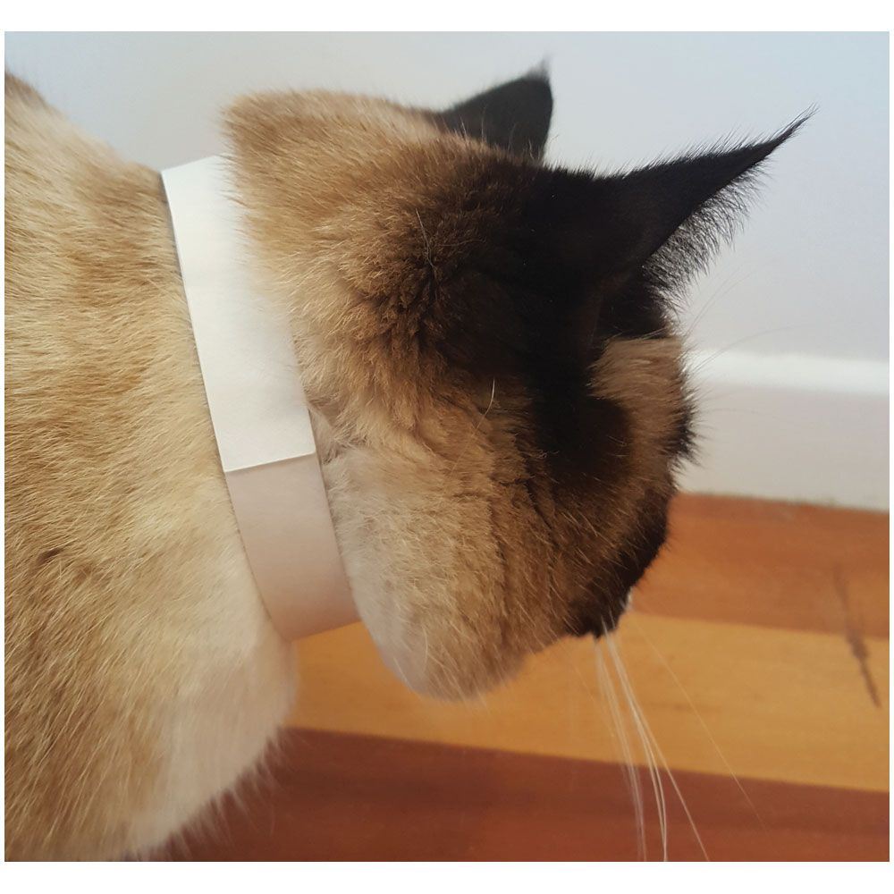 Neck Bands Temporary ID