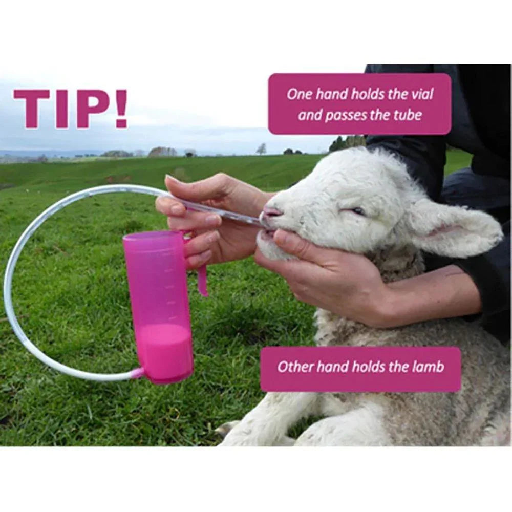 Antahi Trusti Tuber Lambs Kids Fawn