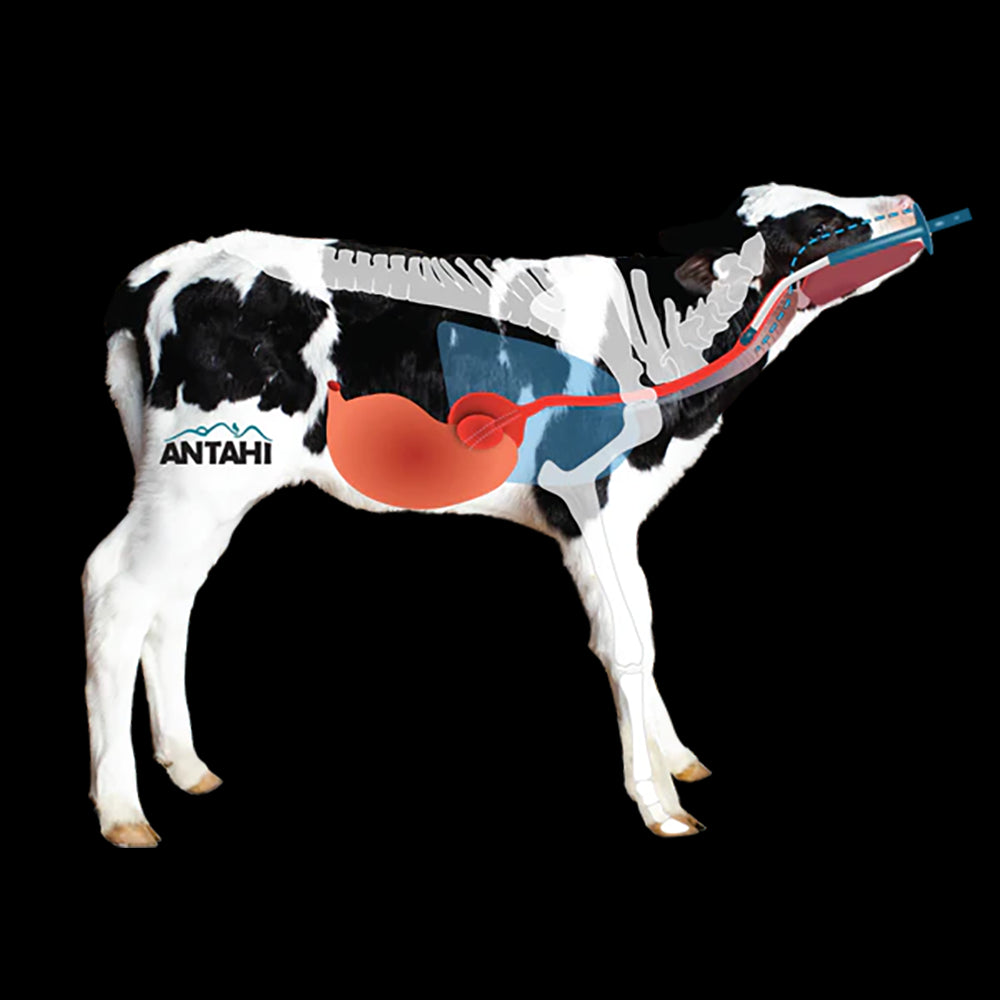 Antahi 4L Trusti Colost Bag x5+Teat+Tube