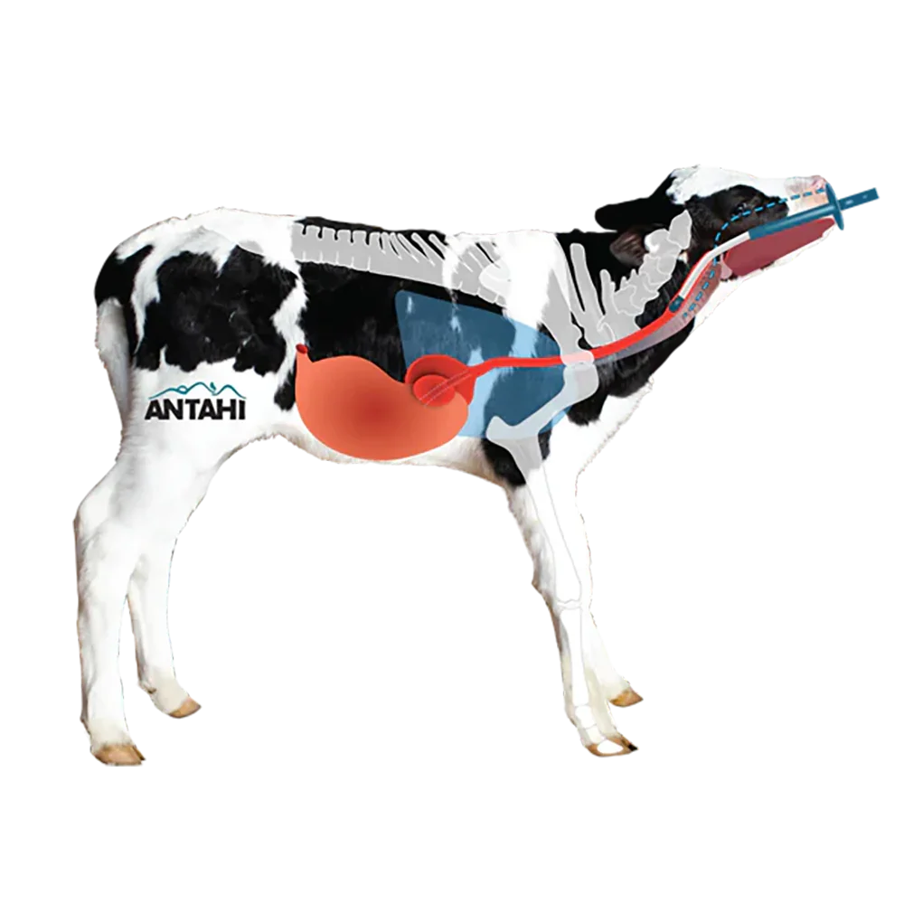 Antahi 4L Trusti Colost Bag x5+Teat+Tube