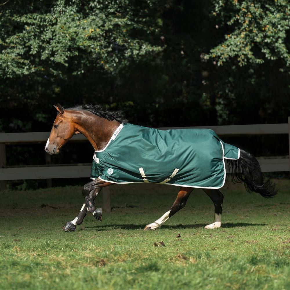 Bucas Rug GreenLine T/O 100g 125cm/5'6