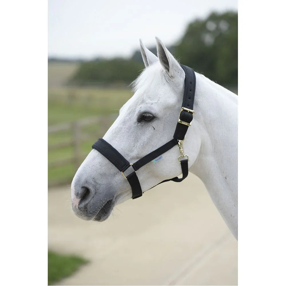 Bucas Comfort Halter X/L Black/Black