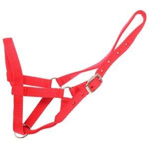 Goat Webbing Halter - XSmall Suit Kids