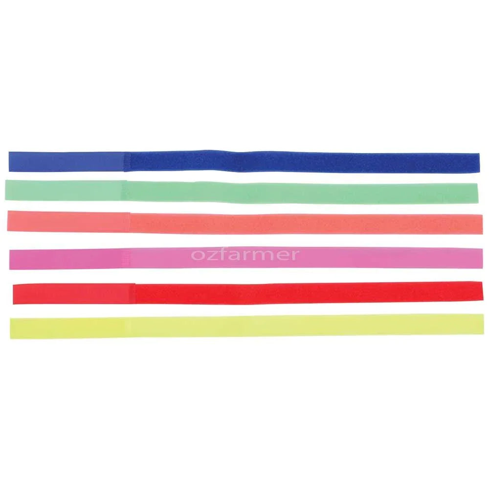 Hock Bands Nylon 10-pack