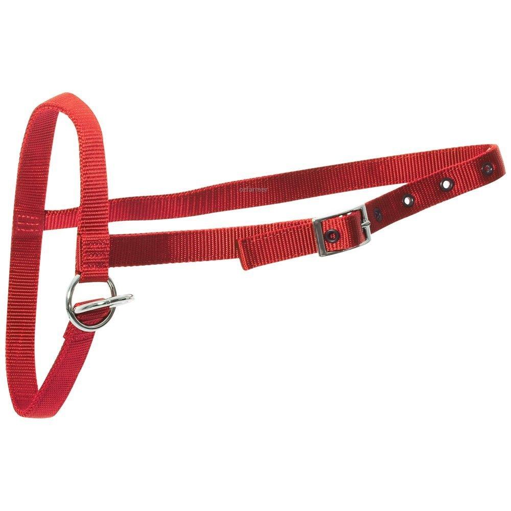 Leading Halter Nylon Calf