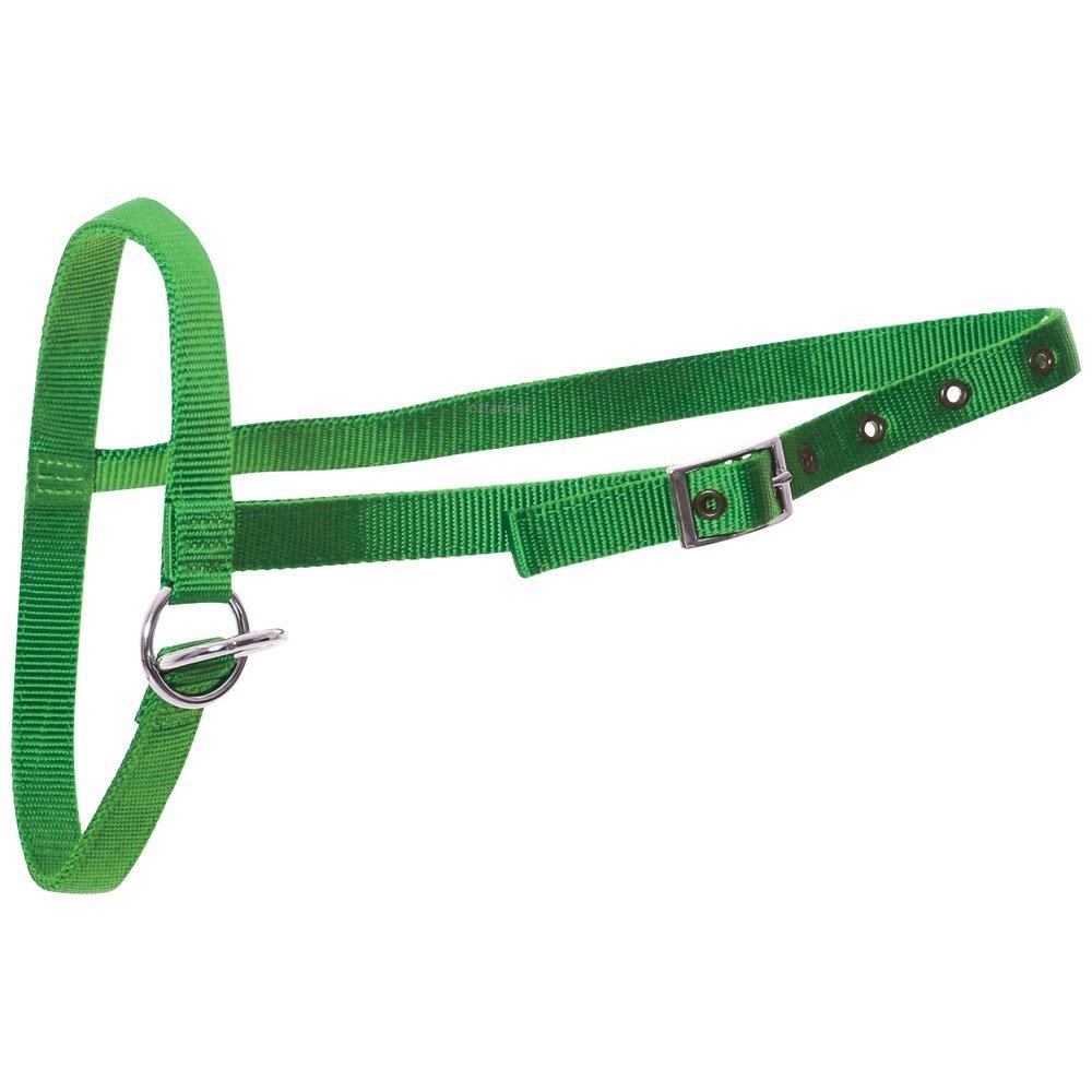 Leading Halter Nylon Calf
