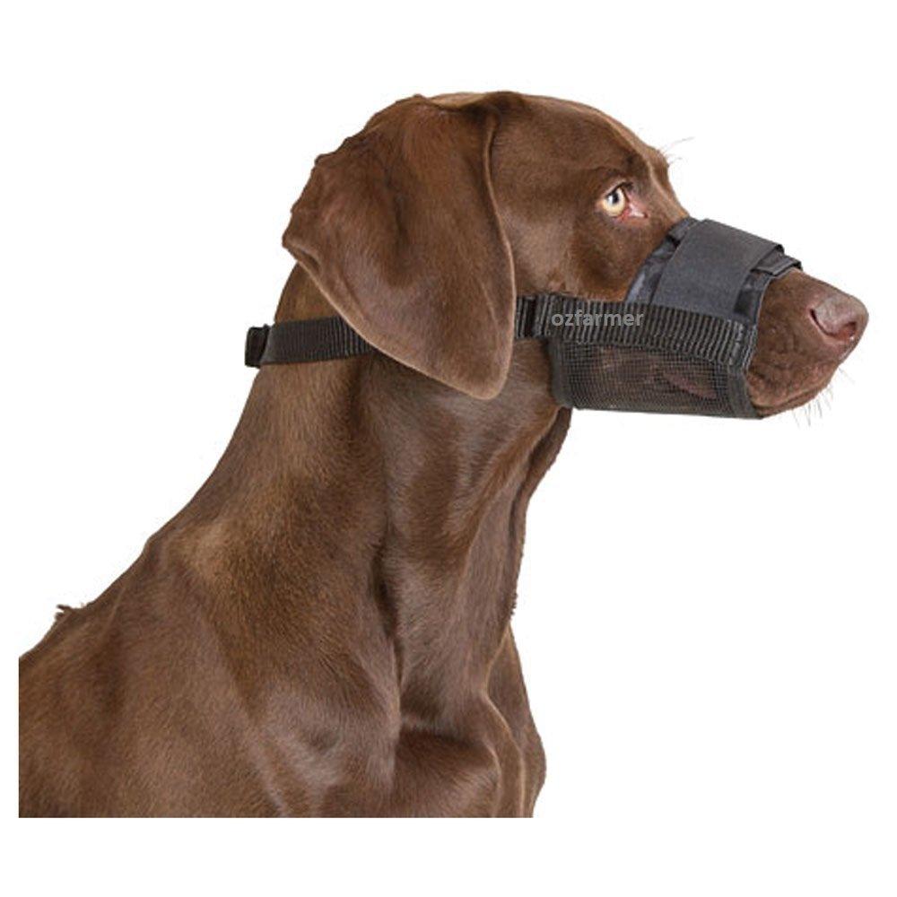 Nylon Dog Muzzle Nylon Kerbl