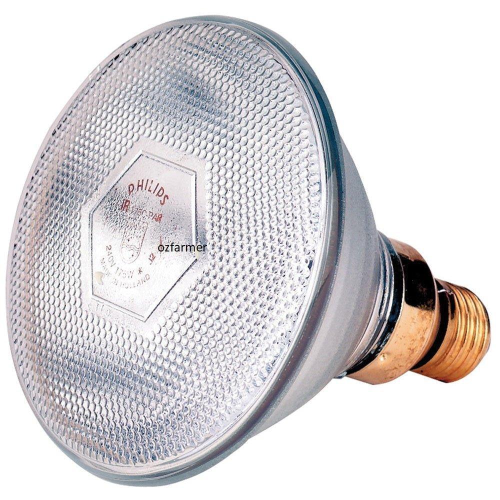 Phillips Clear Infrared Brooder Lamp Globe Only